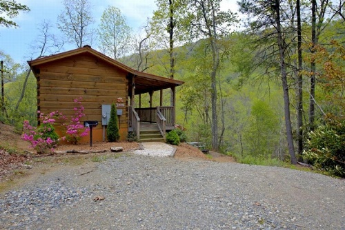 Red Barn Cabin image 21